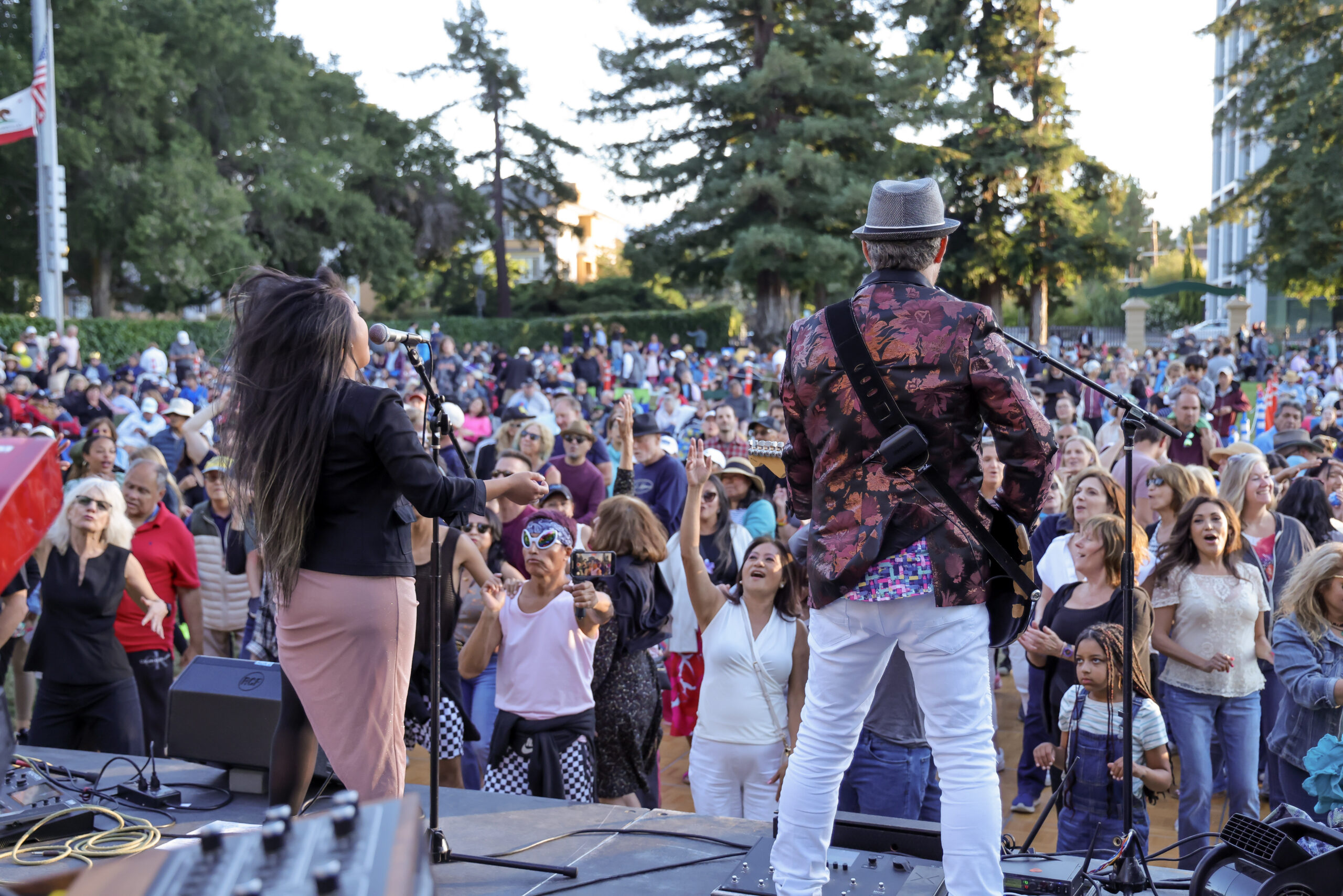 photo of a performance from behind the band; the crowd is cheering and singing
