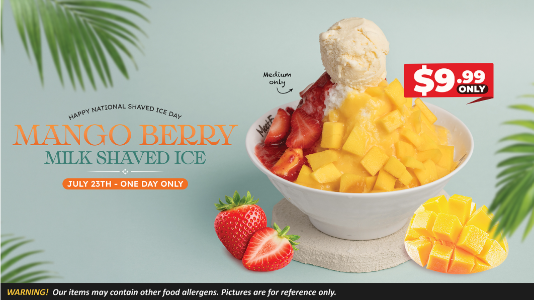 National shaved ice flyer