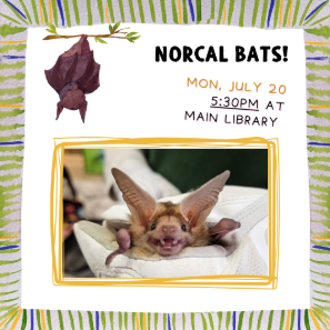 Event Flyer showing a hand wearing a glove, holding a Norcal Bat!